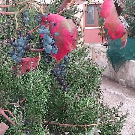 Masseria Le Colonne Del Sole